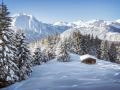 Titelbild für Weihnachten in Tirol
