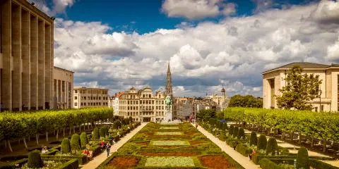 Titelbild für Blumenteppich Brüssel