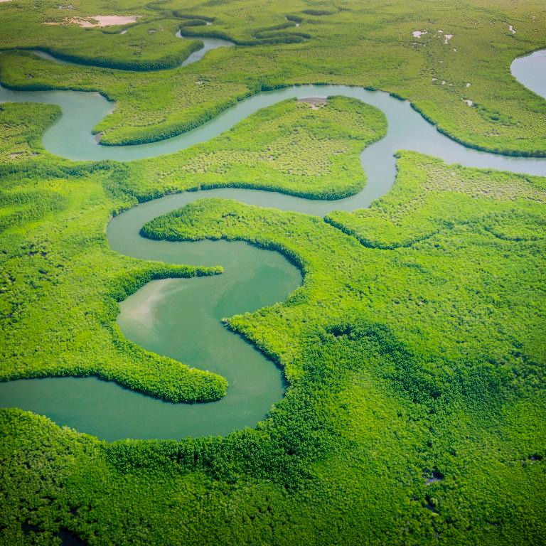 Titelbild für 1000 Meilen auf dem Amazonas - von Manaus nach Tabatinga
