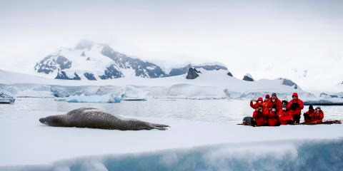 Titelbild für Expeditionsreise Classic Antarctica