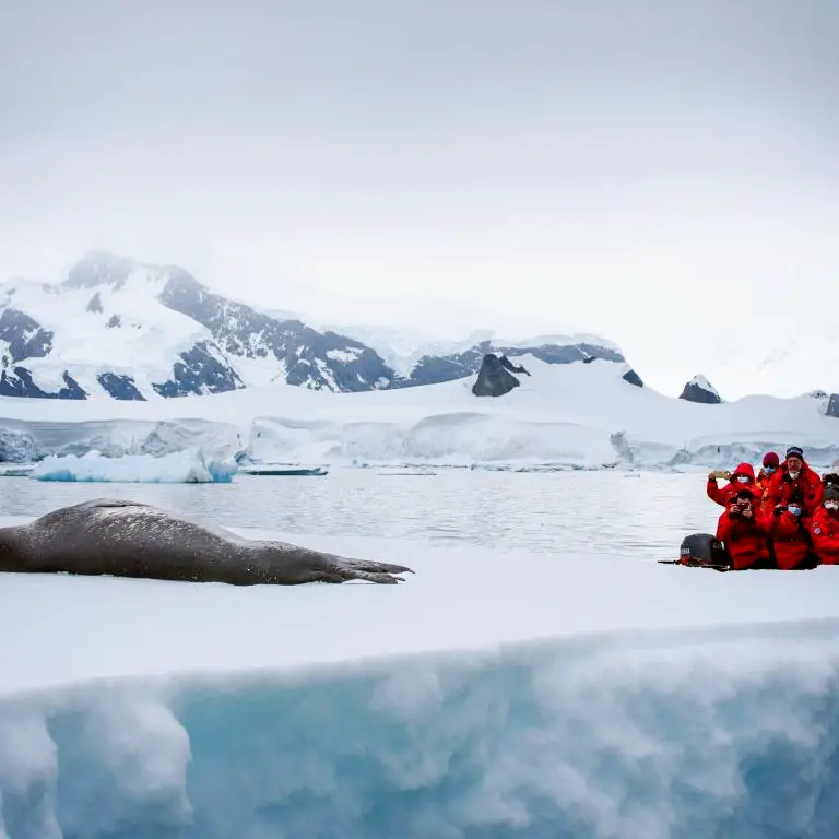 Titelbild für Expeditionsreise Classic Antarctica