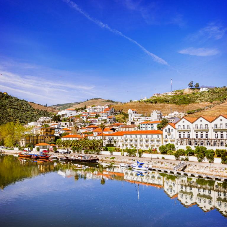 Titelbild für Portugals Weinberge